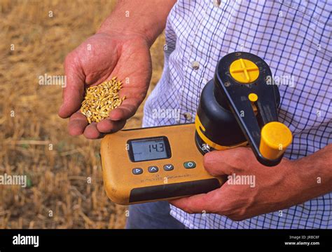 Wheatgrass Powder moisture meter|best moisture meter for wheat.